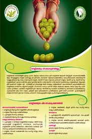 Haryana Scheme F