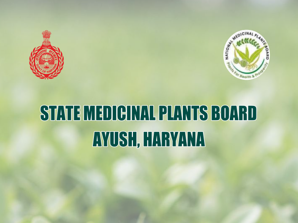 Cultivation of Medicinal Crops in Haryana