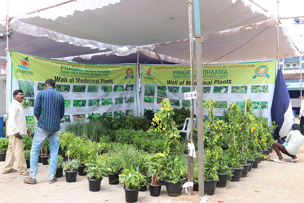 Medicinal Plant Cultivation by Farmers in Haryana